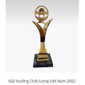 IV. Thành tựu đạt được